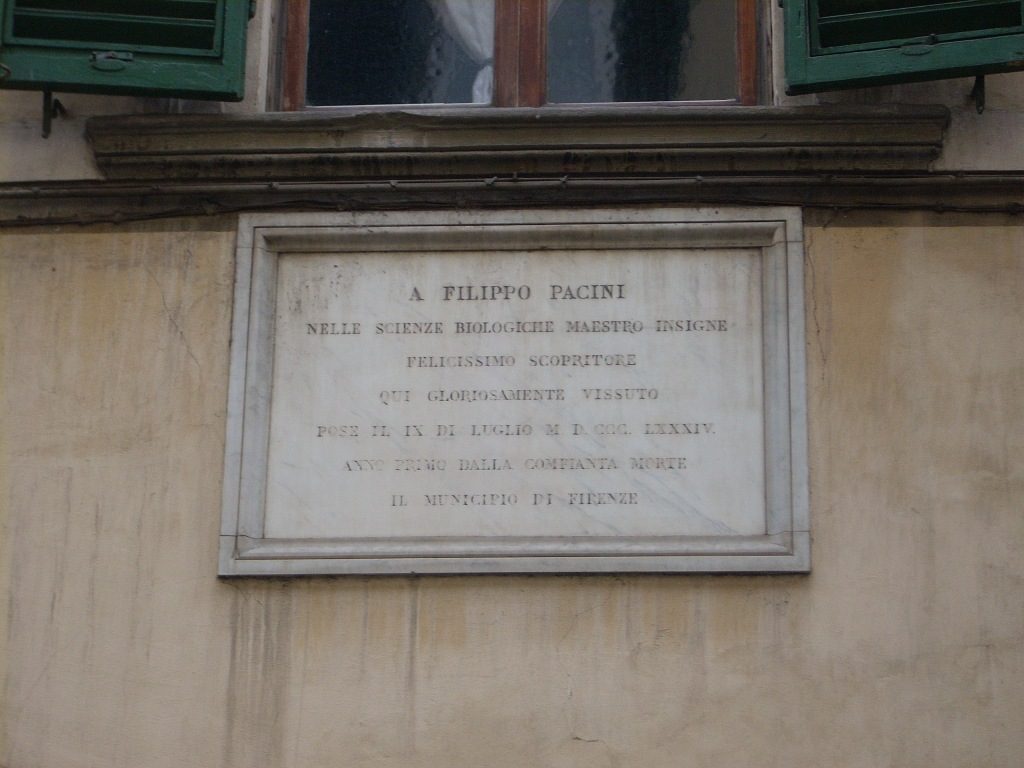 Filippo Pacini's house, Florence, Italy 3.JPG